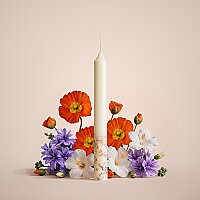 Bolluk & Bereket Mumu - 1