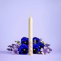 Soy Ağacı Şifası Mumu - 1